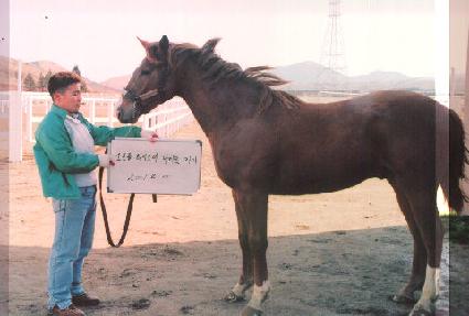 �߿����� ����