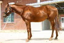 �ٴٹ��� (BADA MULGYEOL) ����