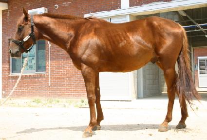 �ٴٹ��� ����