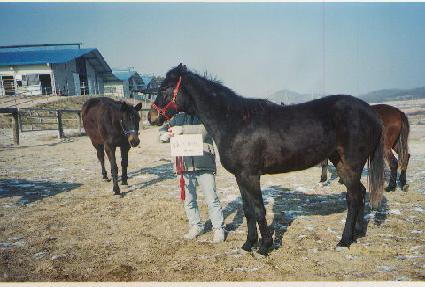 �Ҹ��� ����