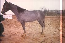 ������� (BELIEVE ME) ����