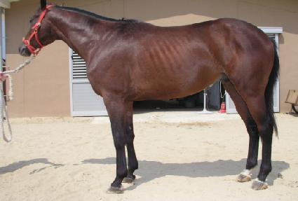 ��ĩ�� ����