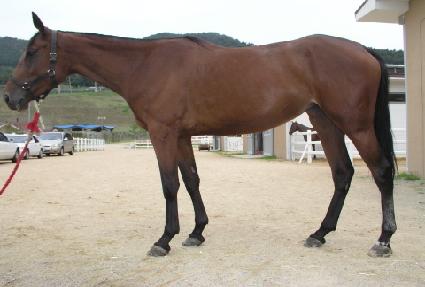 �ٿ��¸� ����