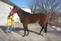 PERFECT STORM picture