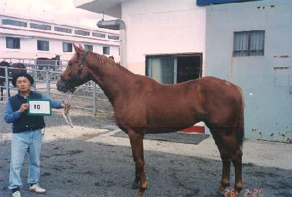 ��õ�� ����