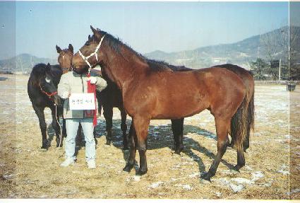 ����ö�� ����