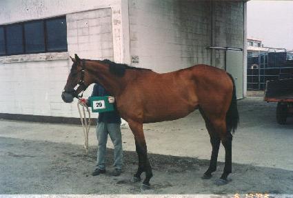 ���ڷ� ����