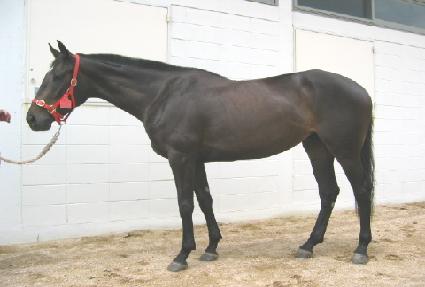 �׿��� ����