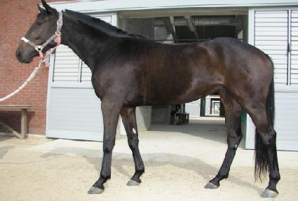 �������� ����