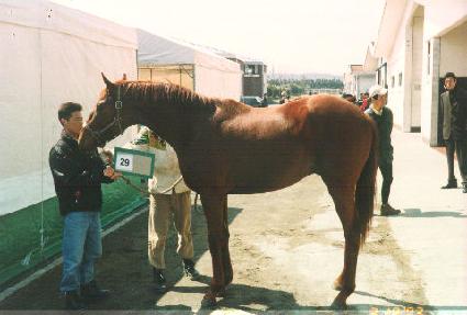 �帲�� ����