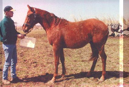 ���� ����