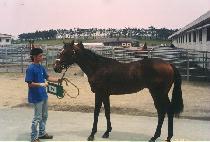 ������ (JONADAN) ����