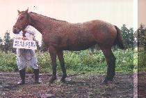 �������� (KKOMAYOJEONG) ����