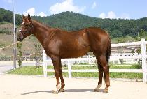 �������� (MAKGANG JEOLLYEOK) ����