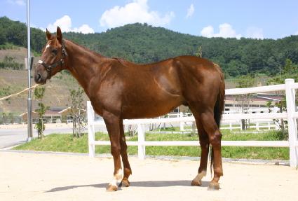 �������� ����