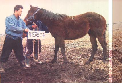 �ʹ����ƾ ����