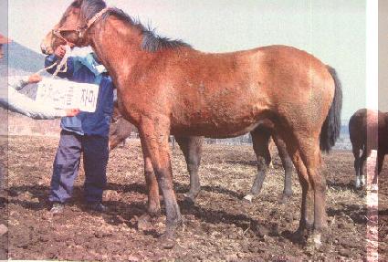 ��õ�� ����