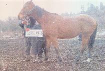 ���Ľ����� (VENTURE STOCKTON) ����