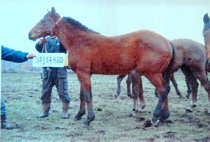 ����ġ���� ����