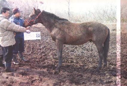 ��빫�� ����