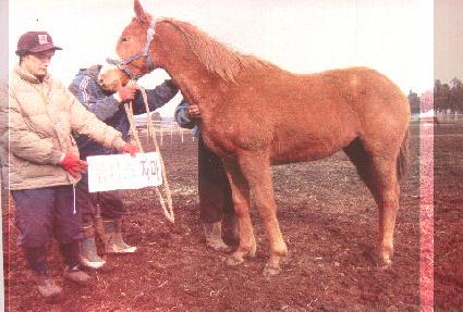 ����� ����