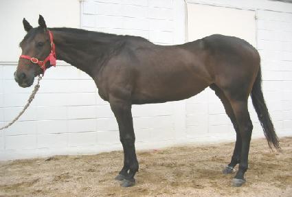 �ұ���ȥ ����