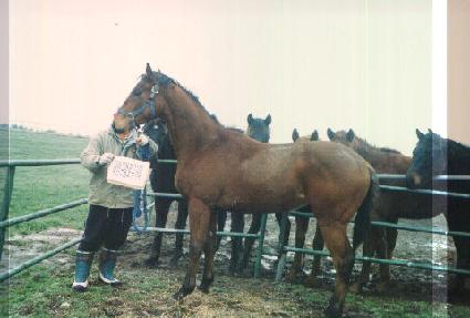 ������ ����