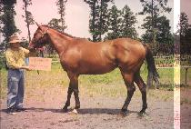 �ݰ����� (GEUMGANG YEOKSA) ����