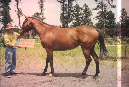 �ݰ����� ����