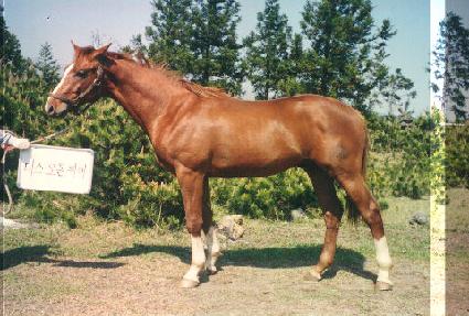 ������� ����