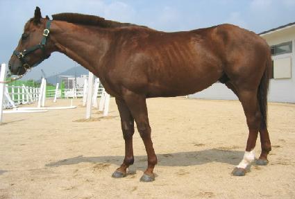 ���� ����