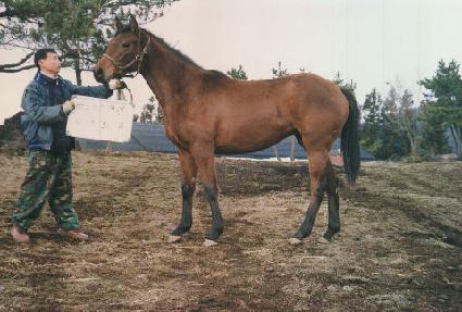 �����ǻ� ����