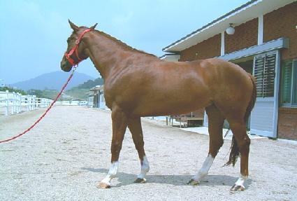 �������̼� ����