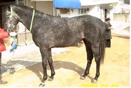 Ȳ���Ǵ� ����