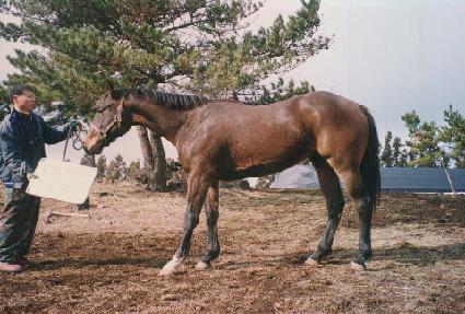 �º����� ����