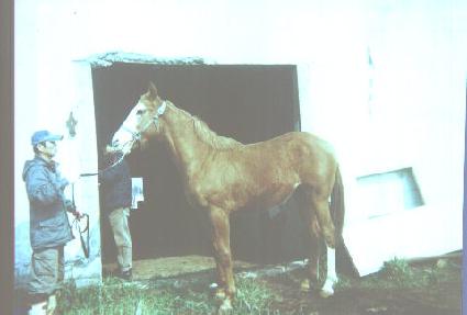 �Ƕ���� ����