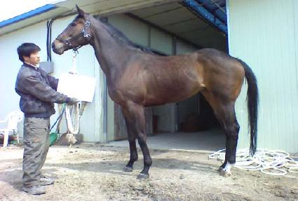 �����ǿ��� ����