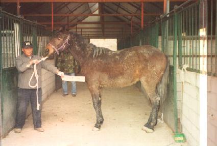 ����õ�� ����