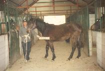 ��ī������ (SKY PRO) ����