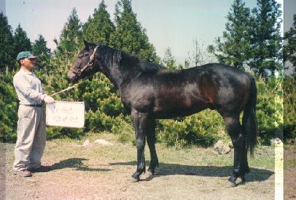 ��� ����