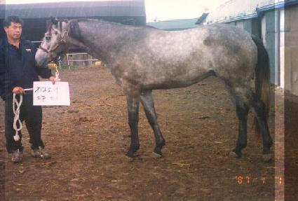 ���ذ��� ����