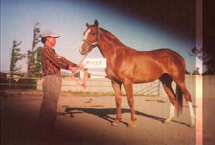 �ݺ����� ����