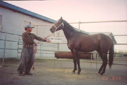 ���� ����