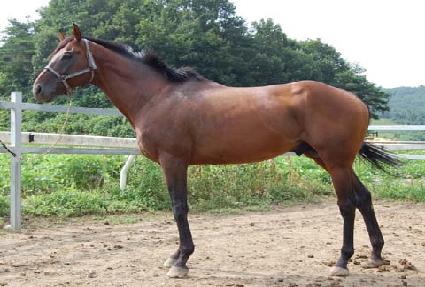 ���߻꼺 ����