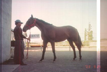 ��︶�� ����