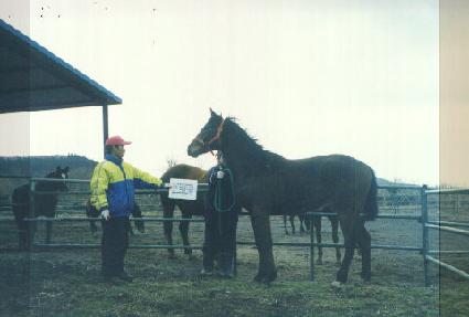 �������� ����