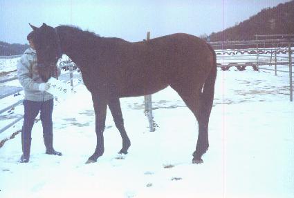 ��𼭳� ����