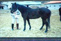 ����õ (NAESEUNGCHEON) ����