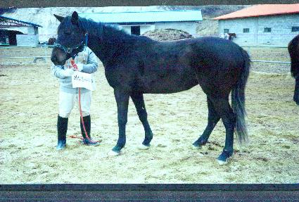 ����õ ����