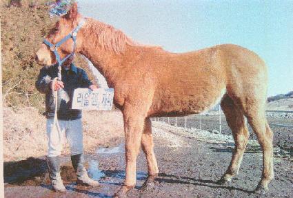 ���Ŀ� ����